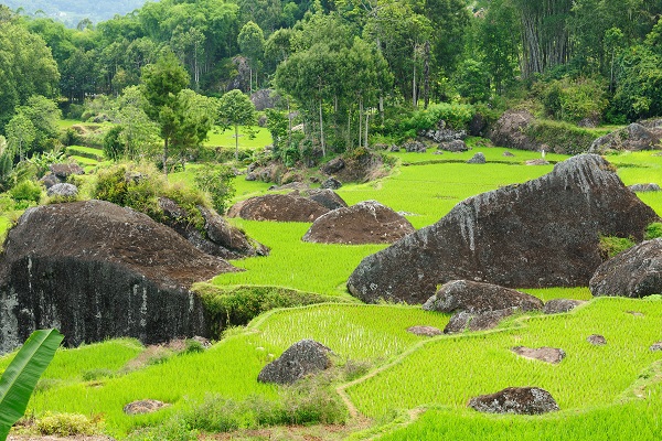 Sulawesi Landscape