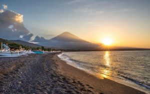 amed