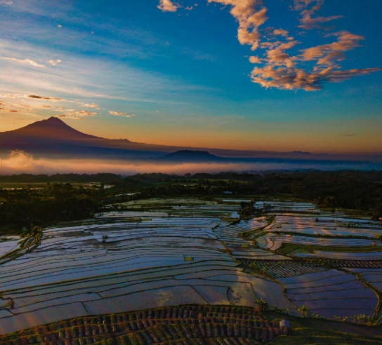 Ubud