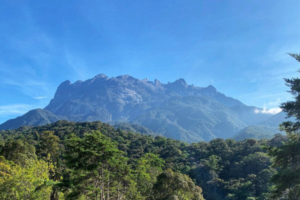 kinabalu park 2